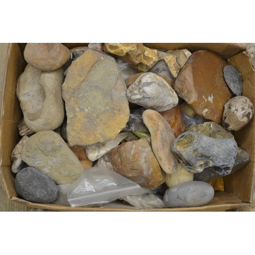 250 - Mixed collection of fossils, minerals and ancient stone tools including fossilised bracket fungus an... 