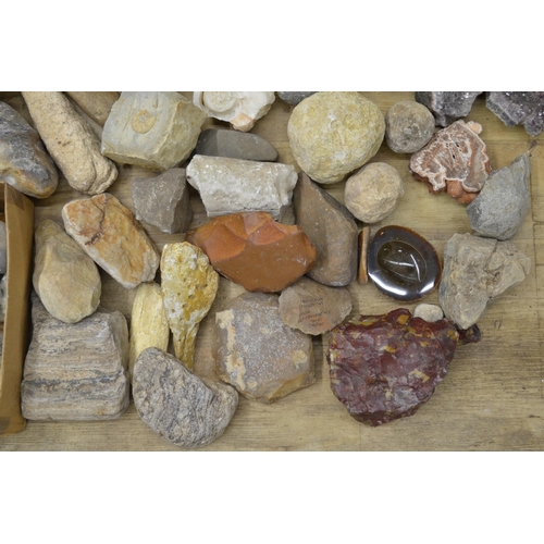 250 - Mixed collection of fossils, minerals and ancient stone tools including fossilised bracket fungus an... 