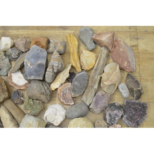 250 - Mixed collection of fossils, minerals and ancient stone tools including fossilised bracket fungus an... 