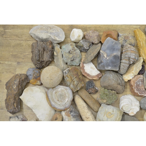 250 - Mixed collection of fossils, minerals and ancient stone tools including fossilised bracket fungus an... 