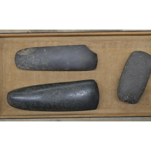 261 - Three neolithic stone hand axe heads, largest L18cm (Victor Brox collection)