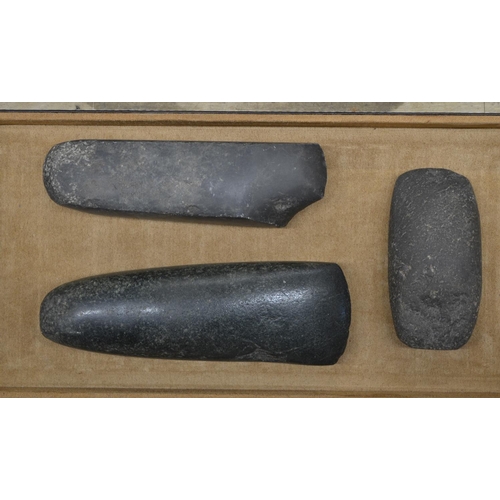 261 - Three neolithic stone hand axe heads, largest L18cm (Victor Brox collection)