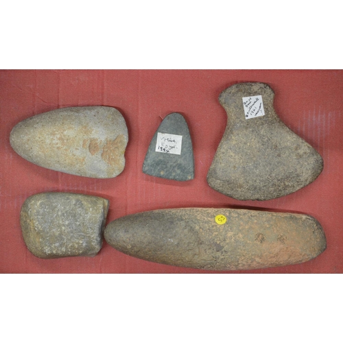 266 - Five neolithic stone hand axe heads, largest L16cm (Victor Brox collection)