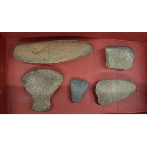 266 - Five neolithic stone hand axe heads, largest L16cm (Victor Brox collection)