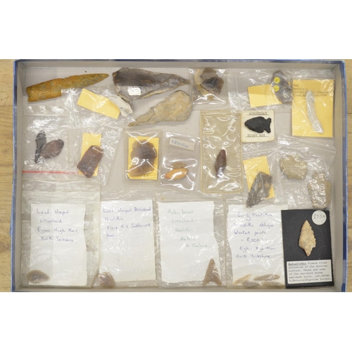 269 - Collection of neolithic stone and flint arrow heads and other items (Victor Brox collection)