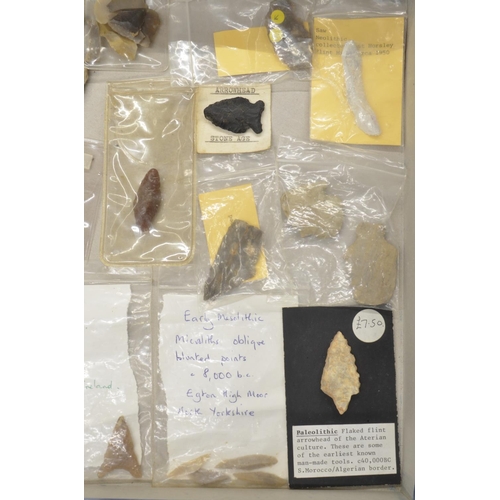 269 - Collection of neolithic stone and flint arrow heads and other items (Victor Brox collection)