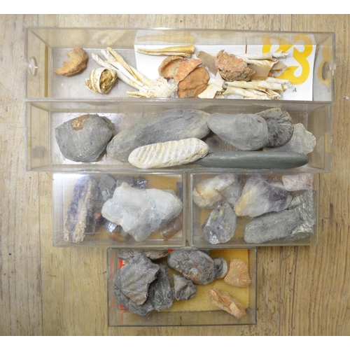 281 - Collection of fossils to include ammonites, coral, shells, petrified wood etc. (Victor Brox collecti... 