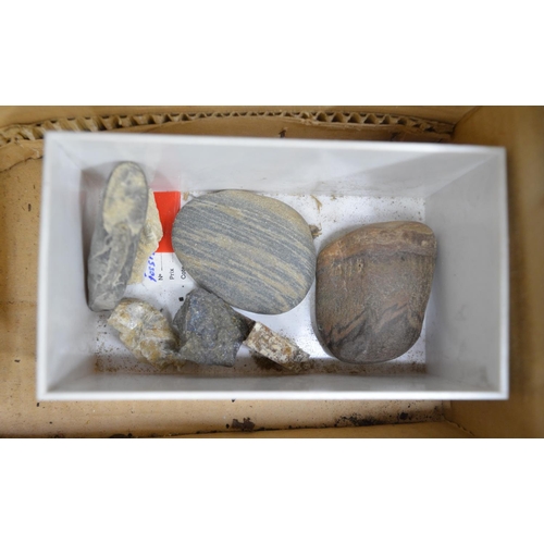 281 - Collection of fossils to include ammonites, coral, shells, petrified wood etc. (Victor Brox collecti... 