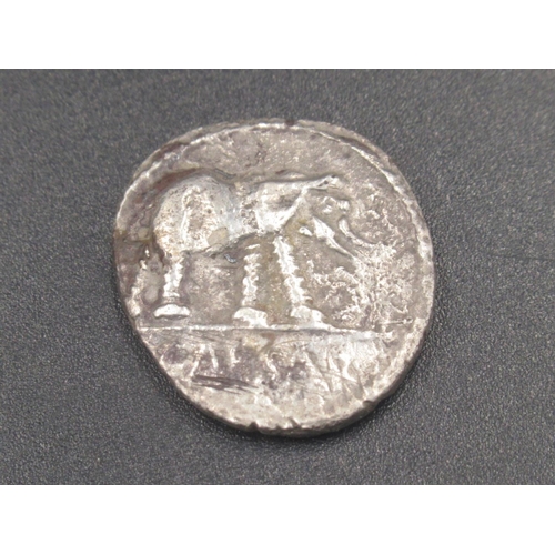 184 - Julius Cæsar Denarius, obv. elephant walking right, trampling on dragon, rev. simpulum, sprinkler, a... 