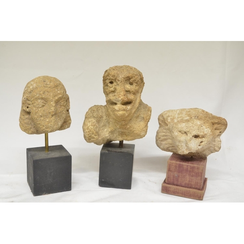 34 - Three carved stone heads, possibly church carvings or similar, all mounted on plinths, max. H23.5cm ... 
