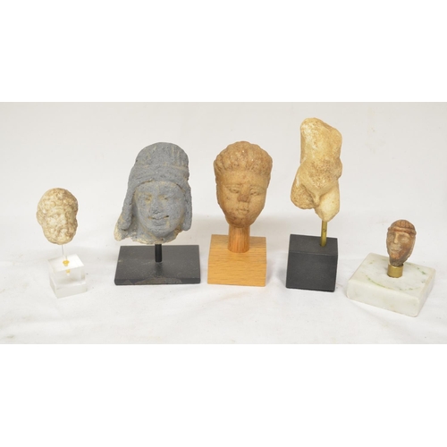 40 - Collection of small stone carvings to include 4 heads and one Romanesque torso (H15), all on plinths... 