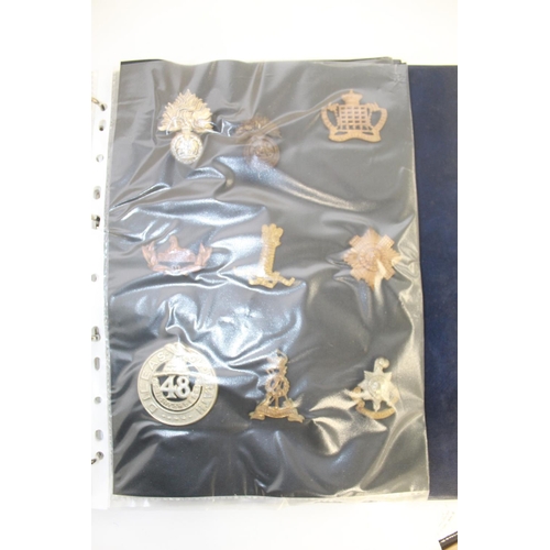 249 - Two folders containing collection of medals and badges, incl. King's Royal Hussars, The Blues and Ro... 