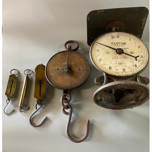 281C - A set of five scales including salter shop scales, butchers/grocery scales x3 and a set of fishing s... 