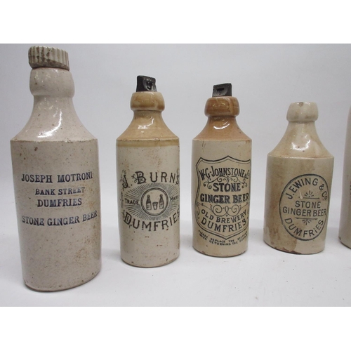 206 - A collection of eleven Scottish stoneware ginger beer and stout bottles from Dumfries and Edinburgh,... 