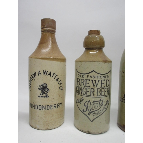 210 - A collection of ten stoneware ginger beer and stout bottles from across the United Kingdom, includin... 