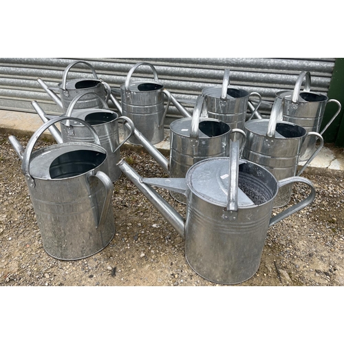 113 - Nine metal watering cans, H39cm