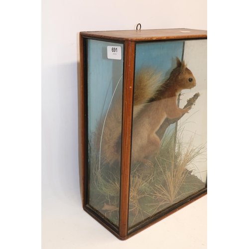 691 - Taxidermy red squirrel in naturalistic setting, cased, H38cm