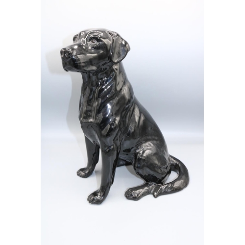 129 - Large Beswick seated Labrador, model no. 2314, black gloss, H33.5cm