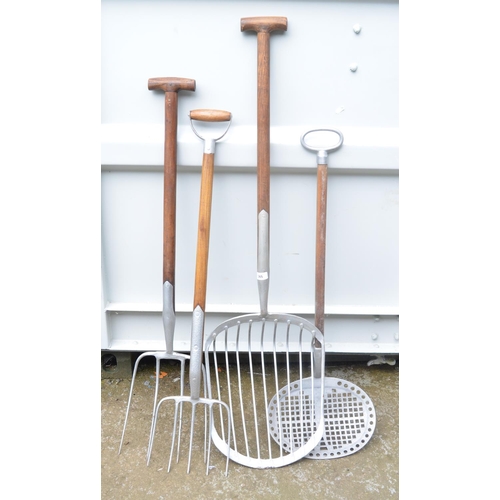 365 - Selection of traditional Lincolnshire potato forks and a vintage sifting spade