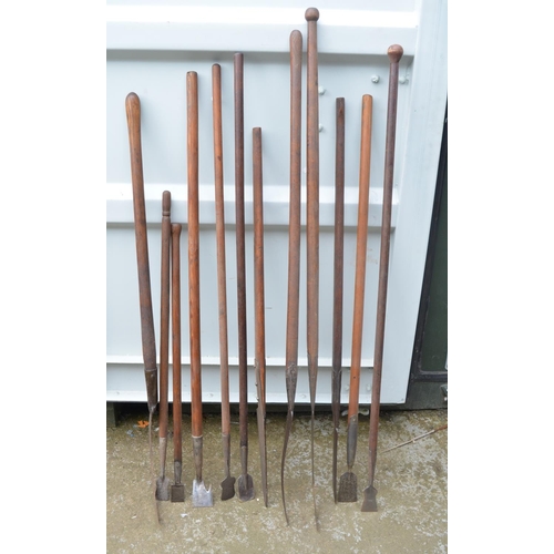 367 - Collection of vintage hedging tools, including billhooks, bark spuds etc.