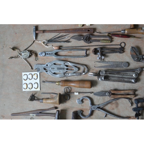 379 - Collection of vintage tools and implements including to include farming and workshop related example... 