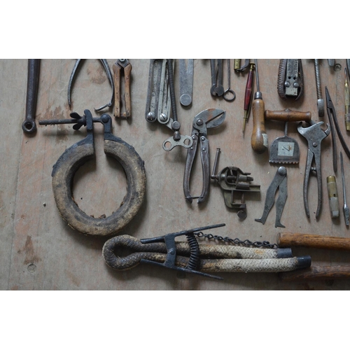 379 - Collection of vintage tools and implements including to include farming and workshop related example... 