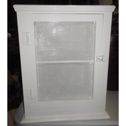 1264 - White painted meat safe, H54cm, and a glass carboy, H38cm (2)