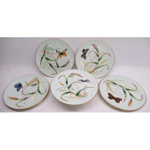 1129 - Victorian porcelain dessert service, painted and enamelled with exotic butterflies, dragonflies and ... 