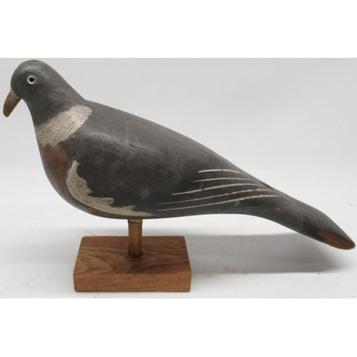 1105 - Painted wooden decoy Pigeon, grey and white plumage, with glass eyes, on rectangular base, L36cm H22... 