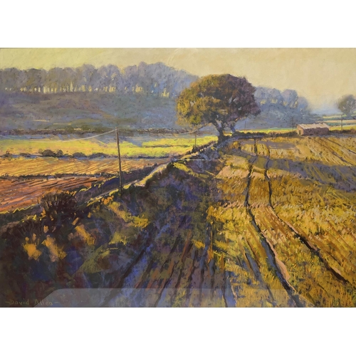 1235 - David Allen (British Contemporary); 'Autumn Fields, West Tanfield', oil on board, signed, 44cm x 60c... 