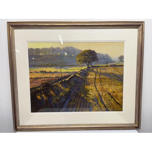 1235 - David Allen (British Contemporary); 'Autumn Fields, West Tanfield', oil on board, signed, 44cm x 60c... 