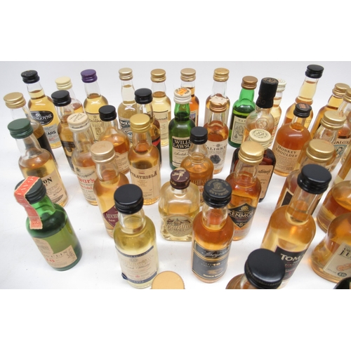 1172 - Large collection of whisky miniatures (approx. 55) some evaporation to bottles to inc. Talisker, Tam... 