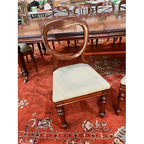 1295 - Victorian mahogany extending dining table, rectangular moulded top with two additional leaves on fou... 