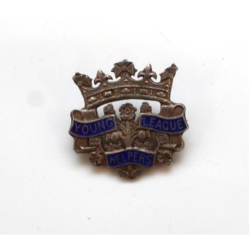 1221 - Large collection of enamel badges from many different societies and groups. Royal British Legion, Yo... 