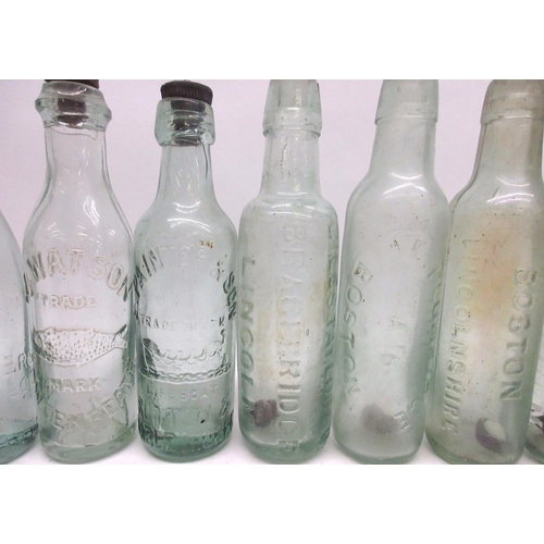 233 - Ten early 20th century glass bottles by various makers incl, Barry Brewer Eaton Socon, E. Painter & ... 