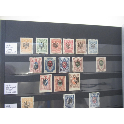 655 - Album of C19th/20th Russian stamps, album of C20th Ukrainian stamps and a album of Russian Civil War... 