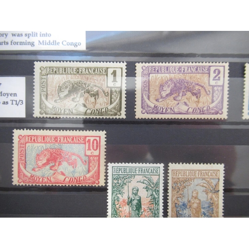 671 - Collection of C19th/20th French Colonies stamps to inc. Guadeloupe, French Indian Settlements, New C... 