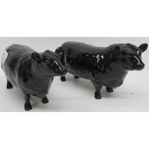 150 - Beswick Aberdeen Angus bull, model 1562, and an Aberdeen Angus cow model 1563 (2)