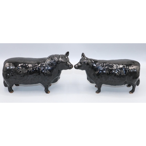 150 - Beswick Aberdeen Angus bull, model 1562, and an Aberdeen Angus cow model 1563 (2)