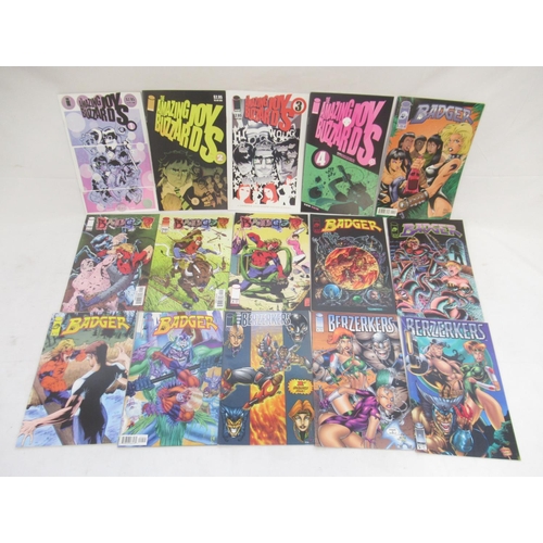 796 - Image Comics - assorted collection of Image comics to inc. Badger, Berzerkers, Brigade, The Alliance... 