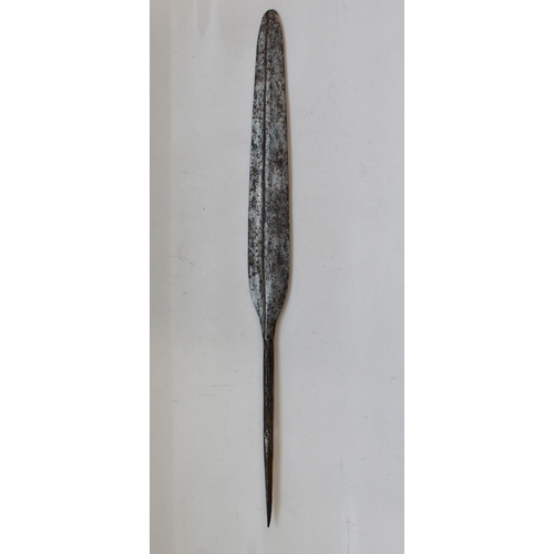 1577 - C19th Zulu Assegai Spear head. Blade length 37cm, overall length 58cm.