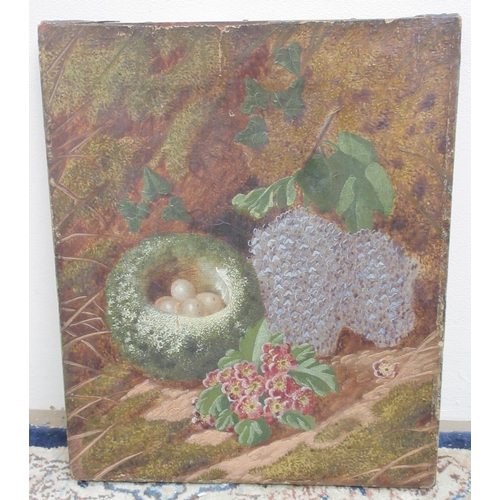 291 - Victorian School; Still life of a birds nest and foliage, unframed oil on canvas, 31cm x 26cm and th... 