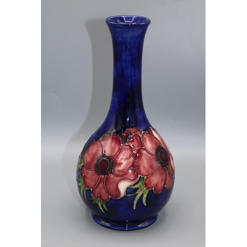 363 - Moorcroft Pottery: Anemone pattern bottle form vase, red flowers on dark blue ground, H22cm