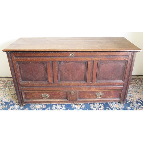 252 - 18th century oak Mule chest, hinged top and three panel front above a long drawer, W137cm D50cm H73c... 