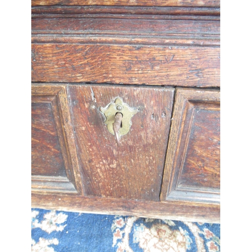 252 - 18th century oak Mule chest, hinged top and three panel front above a long drawer, W137cm D50cm H73c... 