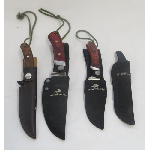 384 - Selection of four fixed blade sheath knives, including Winchester, Wild Cat etc. Longest blade L4.8'... 