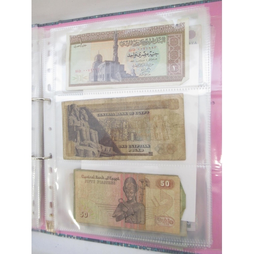 227 - Two folders containing mixed collection of International banknotes to inc. Mongolia, Moldova, Bosnia... 