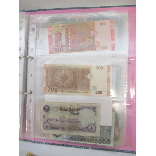 227 - Two folders containing mixed collection of International banknotes to inc. Mongolia, Moldova, Bosnia... 