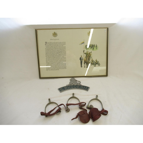 349 - Unique collection of items relating to the British South African Police in Rhodesia. Including an 18... 