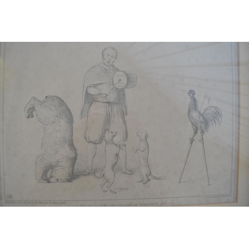 112 - Framed satirical print 'A joculator! Or teacher of wonderful animals' depicting the 1840 convention ... 